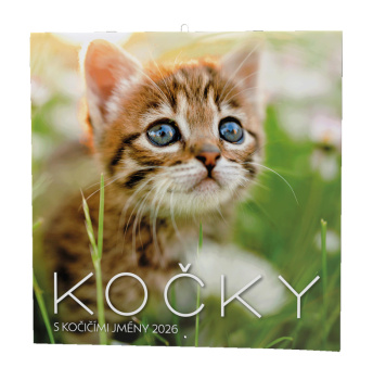 Nástěnný kalendář - Kočky