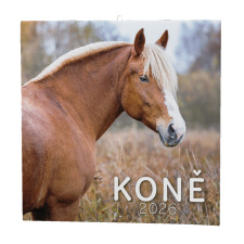 Nástěnný kalendář - Koně