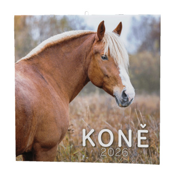 Nástěnný kalendář - Koně