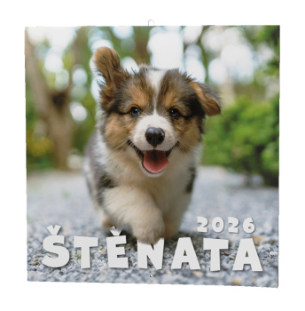 Nástěnný kalendář - Štěňata