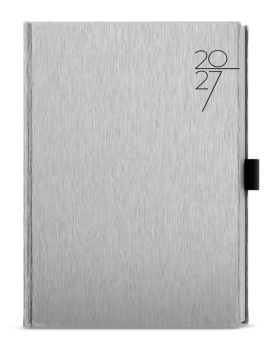 Denní diář - David - ForMen - A5 - Silver