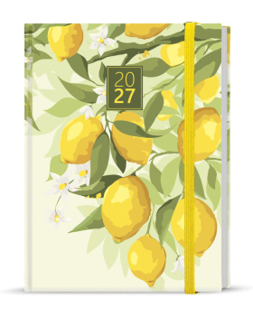 Týdenní diář - Prokop - Lamino - B6 - Citron